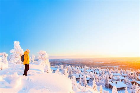 infobooking login|lomarengas omistajaliittymä.